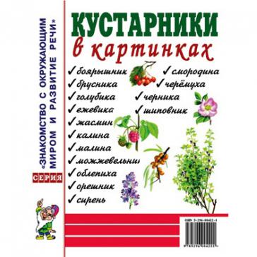 Кустарники в картинках. Наглядное пособие