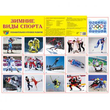 Демонстрационный плакат Зимние виды спорта А2