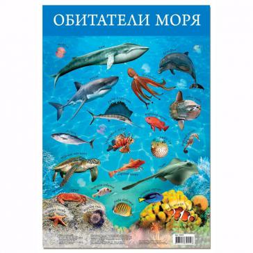 Плакат Обитатели моря 3410