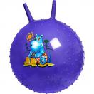 Детский массажный гимнастический мяч фиолетовый DE 0537