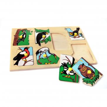 Птицы наших лесов 	1437