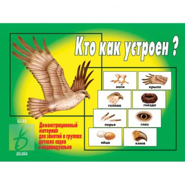 Кто как устроен