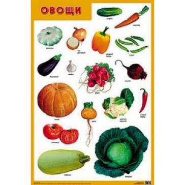Овощи. Плакат 0166-1