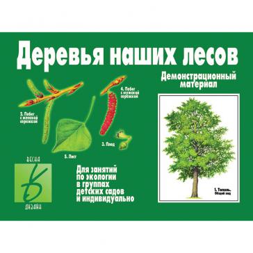 Деревья наших лесов