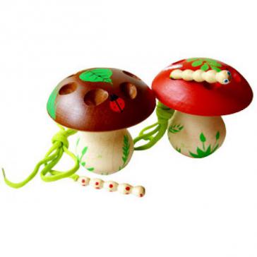 Гриб  шнуровка