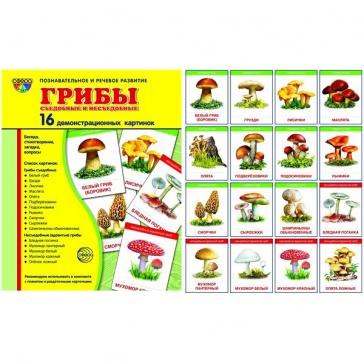 Грибы съедобные и несъедобные. 16 демонстрационных картинок с текстом