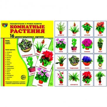 Комнатные растения.16 демонстр.картинок с текстом 