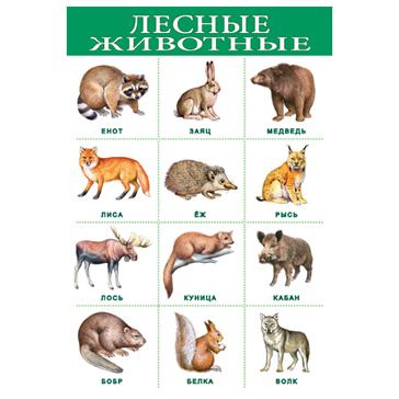 Лесные животные 1919