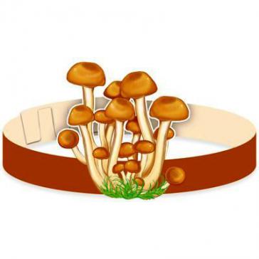 Маска-ободок Опята МА-12073 