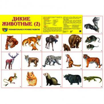 Демонстрационный плакат Дикие животные -2, А-2