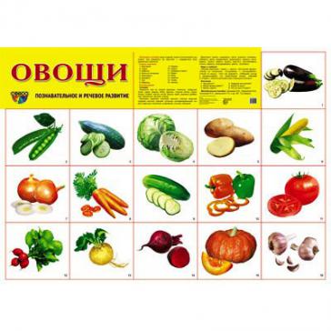 Демонстрационный плакат Овощи, А-2
