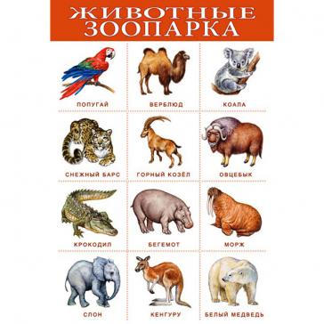 Плакат. Животные зоопарка 1917