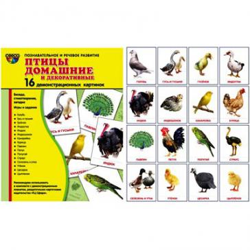 Птицы домашние и декоративные. 16 демонстрац. картинок с текстом