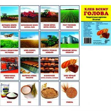 Хлеб всему голова. 16 раздаточных карточек с текстом(63х87мм)