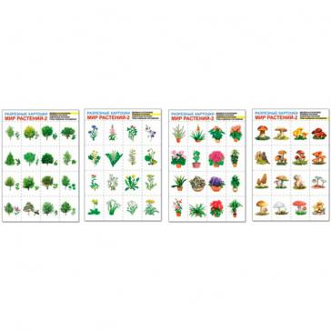 Мир растений-2. Комплект разрезных карточек