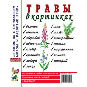 Травы в картинках. Наглядное пособие