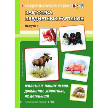 Животные наших лесов, домашние животные, их детеныши