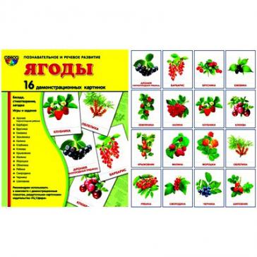 Ягоды. 16 демонстрационных картинок с текстом