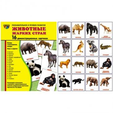 Животные жарких стран.16 демонстрационных картинок с текстом