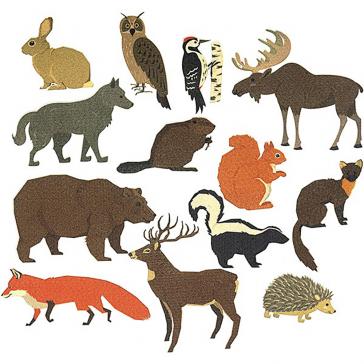 Животные леса ДМ LIP1256