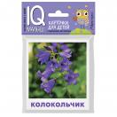 Умный малыш. Что растёт на клумбе?  26047