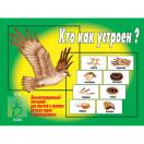 Кто как устроен