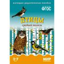 Мир в картинках Птицы средней полосы  0575-1