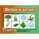 Ветки и детки Д-512