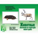 Животные,обитающие на территории нашей страны