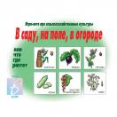 В саду, на поле, в огороде