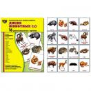 Дикие животные -1. 16 демонстрационных картинок с текстом