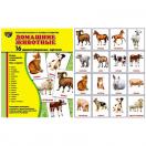 Домашние животные.16 демонстрационных картинок с текстом