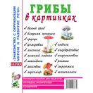 Грибы в картинках. Наглядное пособие 