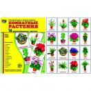 Комнатные растения.16 демонстр.картинок с текстом 