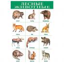 Лесные животные 1919