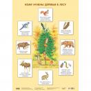 Кому нужны деревья в лесу МС10638