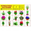 Демонстрационный плакат Комнатные растения, А-2
