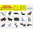 Демонстрационный плакат Животные холодных широт, А-2