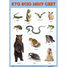 Плакат  Кто всю зиму спит