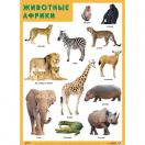 Плакат Животные Африки