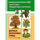 Картотека предметных картинок. Деревья, кустарники, грибы