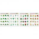 Мир растений-2. Комплект разрезных карточек