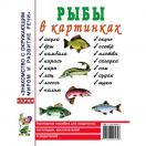 Рыбы в картинках. Наглядное пособие