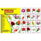 Цветы садовые.16 демонстр.картинок с текстом