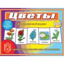 Цветы» (лесные, луговые, садовые) Д-478