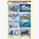  Демонстрационные картины А3. Животные Севера