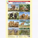 Демонстрационные картины А3. Животные Юга