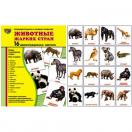 Животные жарких стран.16 демонстрационных картинок с текстом